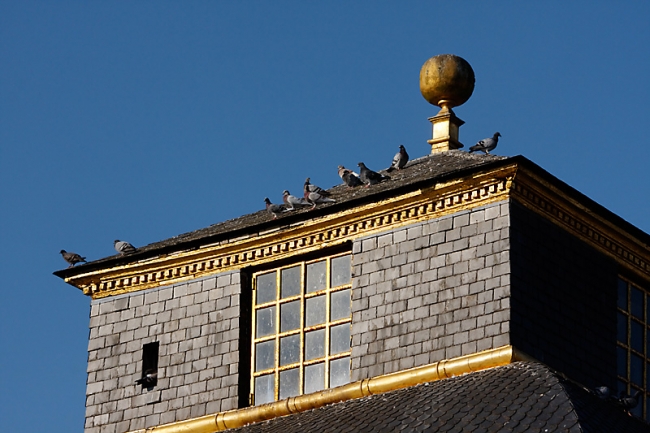 Chateau du Champ de Bataille-271